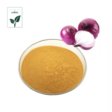 High quality 100% natural onion powder